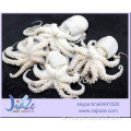 Delicious Frozen whole octopus IQF